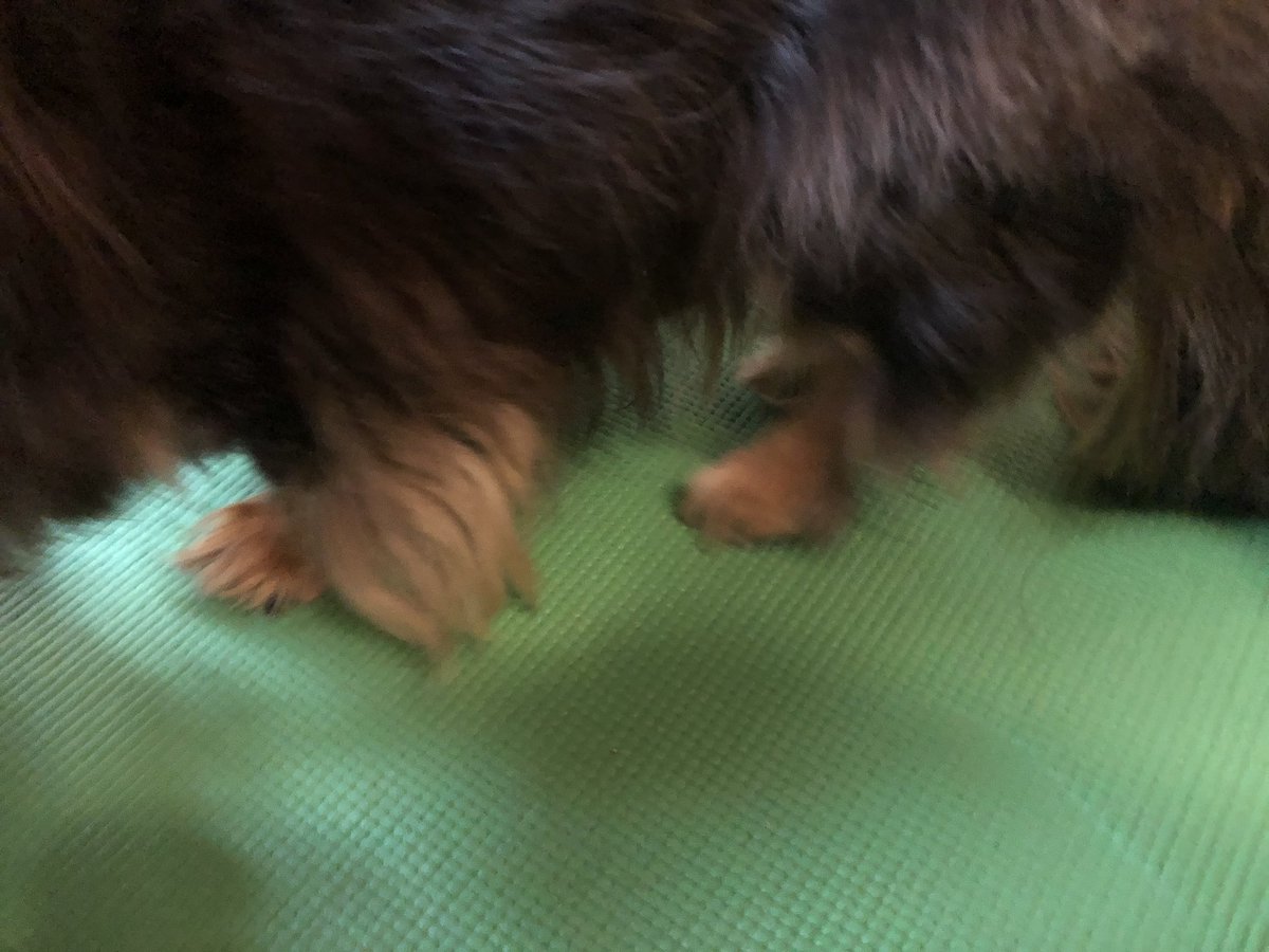 クッシング症候群