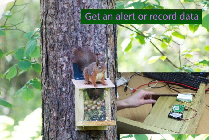 _codebug's tweet image. Less than 12 hours to go for Wifi Connected @_codebug connect on kickstarter kickstarter.com/projects/codeb… Quick and easy for remote data logging for environmental and citizen science projects