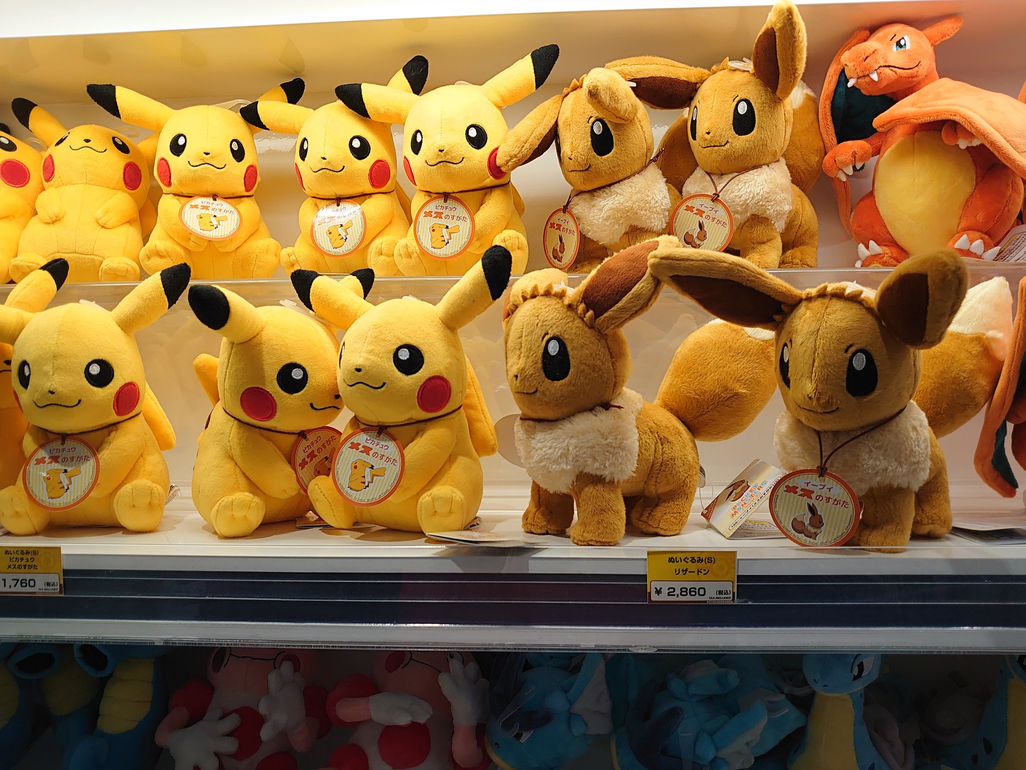 タカピカ ポケセンヨコハマに帰ってきました トウキョーdxで見たぬいぐるみの他にメスのすがたのピカチュウと イーブイも再入荷されていました ポケモン ポケモンセンター T Co 5uioz1btl4 Twitter