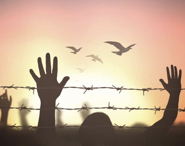 YASEMINEVCIM's tweet photo. Human Rights Day on December 10 remembers the day the General Assembly of the UN adopted and proclaimed the Universal Declaration of Human Rights in 1948. Every person has right to live , have liberty, property, and the pursuit of happiness. 🕊 https://t.co/3rijt2jCzU