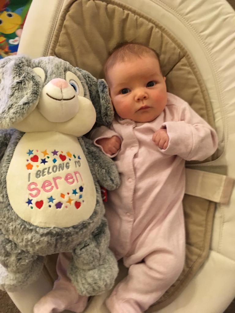 CuddlyLandTeddy's tweet photo. Wouldn't someone you know love a gift like this for Christmas? Personalised embroidery on a wide range of gorgeous cuddly toys at https://t.co/ILLWstnNts https://t.co/46ntgBa0sT