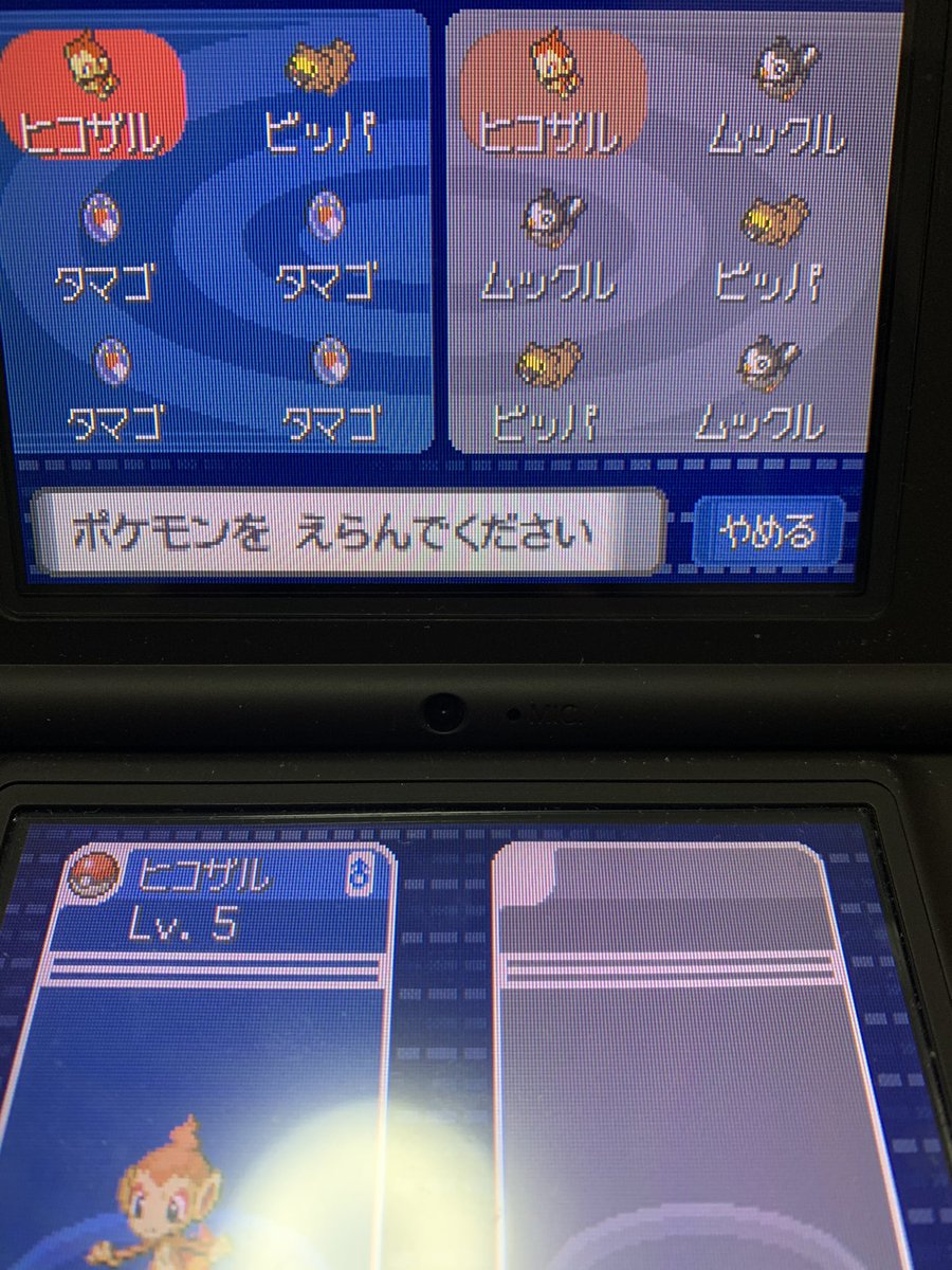 厳選 バンギラス バンギラスの育成論・調整｜ポケモン育成論ソードシールド｜ポケモン徹底攻略