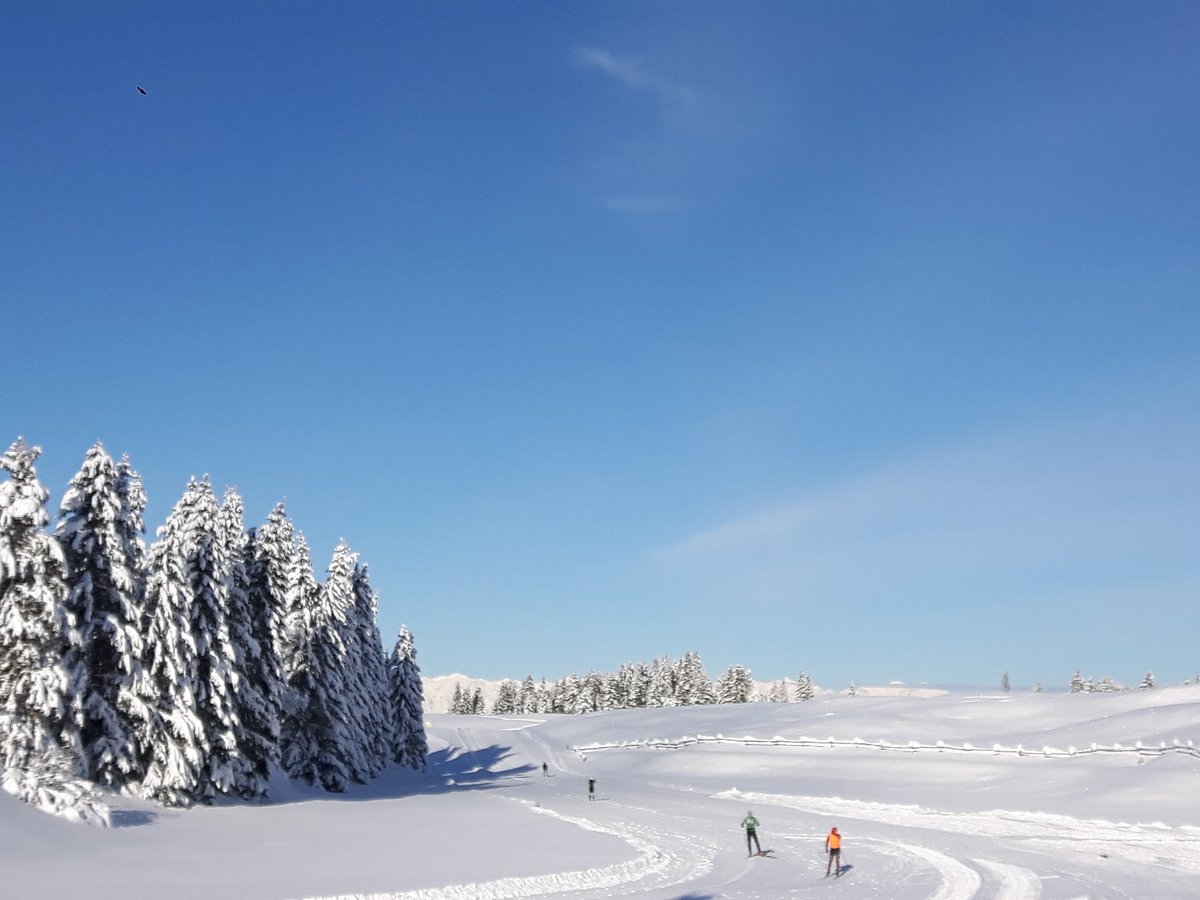 LavazeSkiCenter's tweet photo. Sabato 12.12: 25km pronti! #vogliadisciare #scifondo #scidifondo #xcountryskiing #xcskiing #langlaufen #placewelove #pisteperfette #nevefresca #activity #muoviti #moveyourbody #ioesco
https://t.co/RCkpw0XWbd https://t.co/CsuebiRyKd