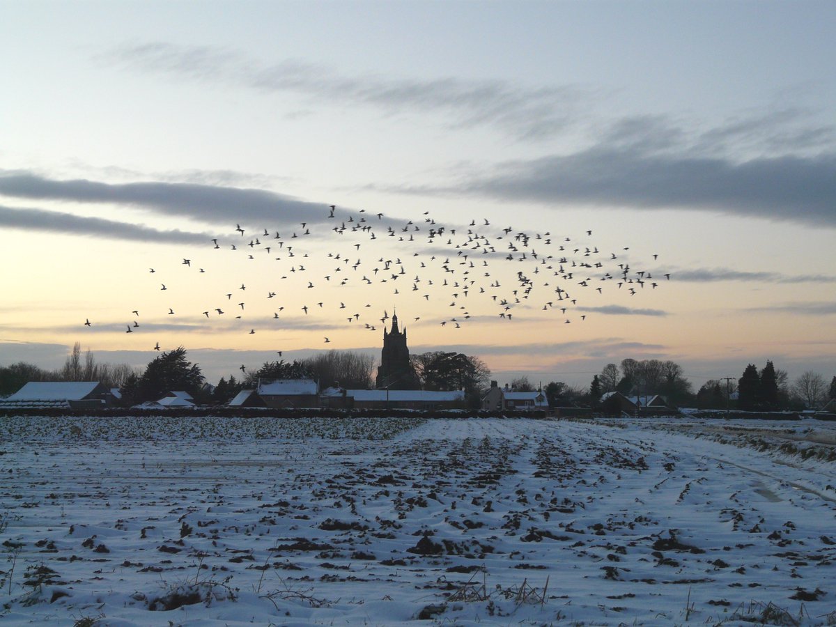 HE_EoE's tweet photo. Some seasonal inspiration with these beautiful snowy pictures of Grade I listed All Saints Church in Mattishall #Norfolk taken in 2008 by @JamesEAlbone
#WinterInChurches
https://t.co/Z9yKq5ORUN https://t.co/4GWxAgdtDk