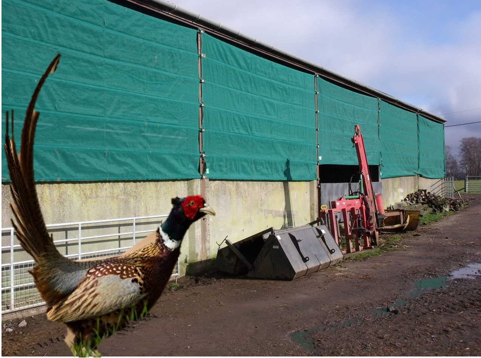SecureCovers's tweet photo. It's important that when meeting out doors  we stay in well ventilated areas - this doesn't mean you have to be cold as well!

💨If you  have an open sided shed then the Secure Windbreak is the solution and perfect  for outdoor pursuits!💨 

https://t.co/DtKiitNJqw 
01206585090 https://t.co/ML2FY7JkII