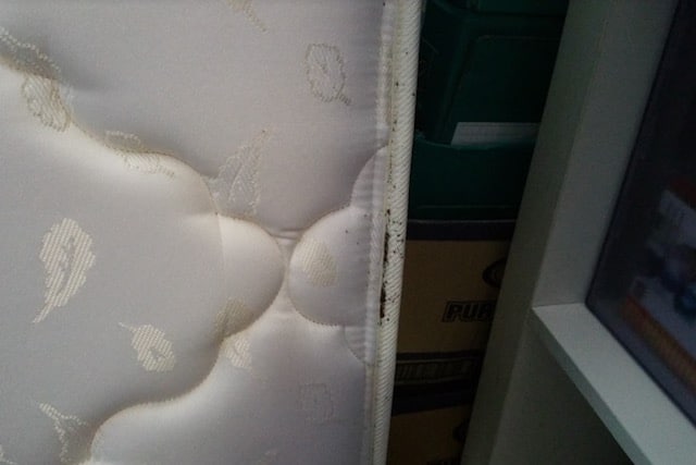 PestClinicSG's tweet image. Which pests can live for up to a year without feeding on blood? Bed bugs!

Read on to differentiate between bed bugs&apos; facts and myths! ⬇

#PestControl #BedBugPestControl

pestclinic.com.sg/a-comprehensiv…