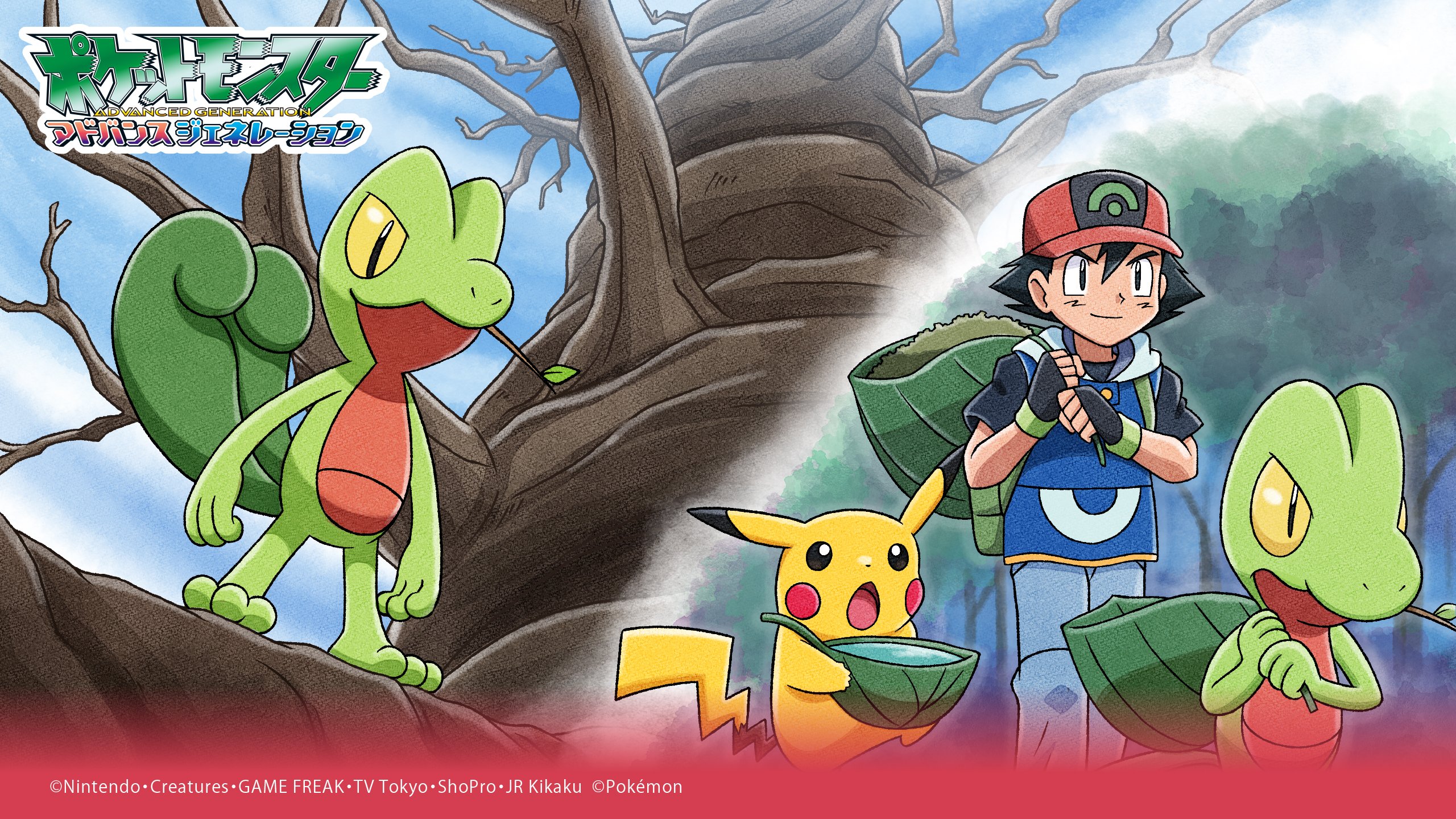 ポケモン公式ツイッター 本日12月10日 木 より アニポケセレクションから キモリの森 巨大樹を守れ が公開 旅の途中 偶然見つけた巨大樹に近寄ったサトシ そこに 1匹のキモリが襲いかかる 続きは公式youtubeチャンネルでチェックして