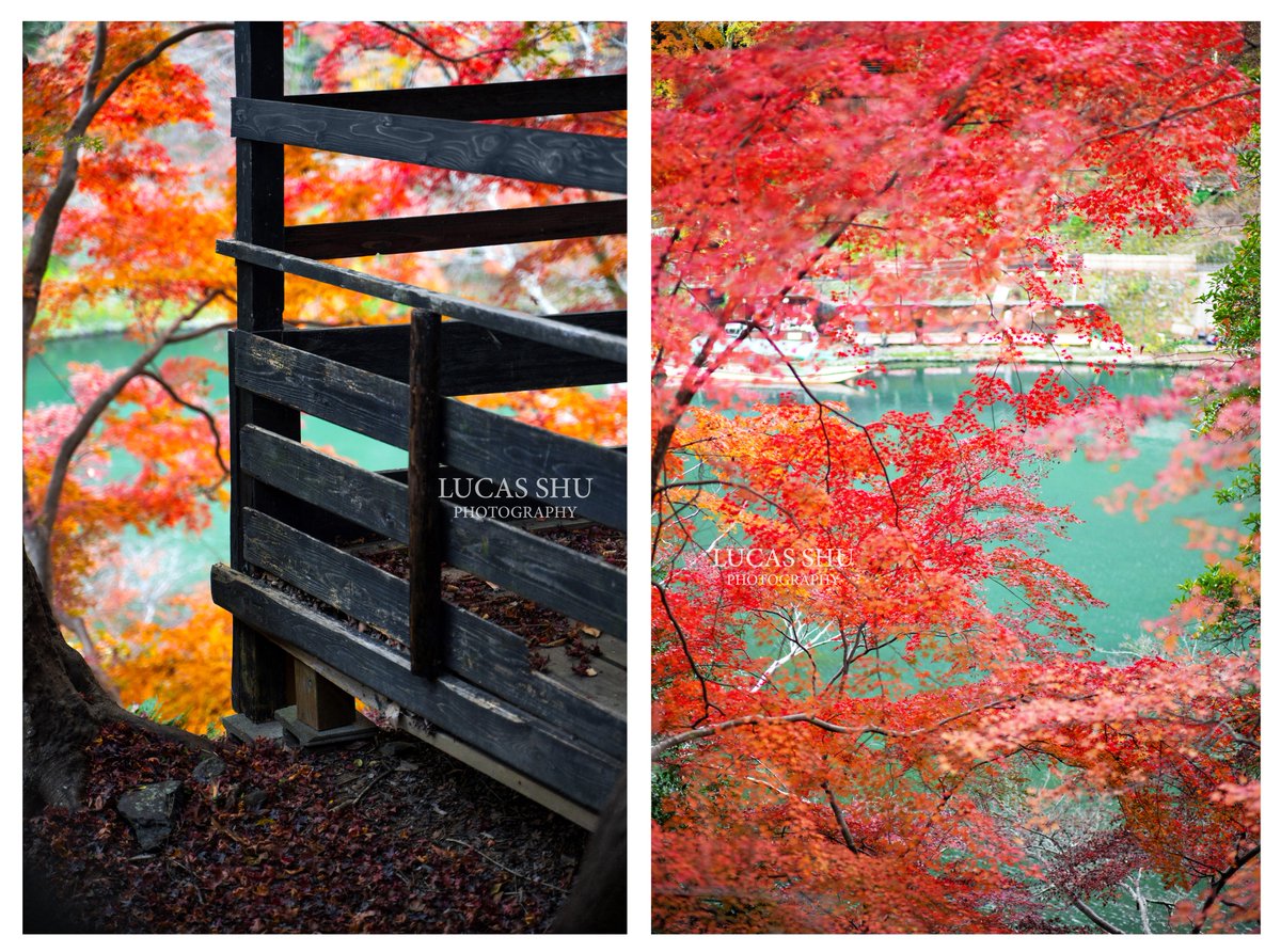 Lucas Shu 京都嵐山の渡月橋の下に流れる桂川 午後3時を過ぎたら その色が綺麗なエメラルドグリーンに変わります 紅葉の季節になると 川の色がもっと幻想的に見えてきます 京都紅葉 嵐山紅葉 嵐山 京都絶景 桂川