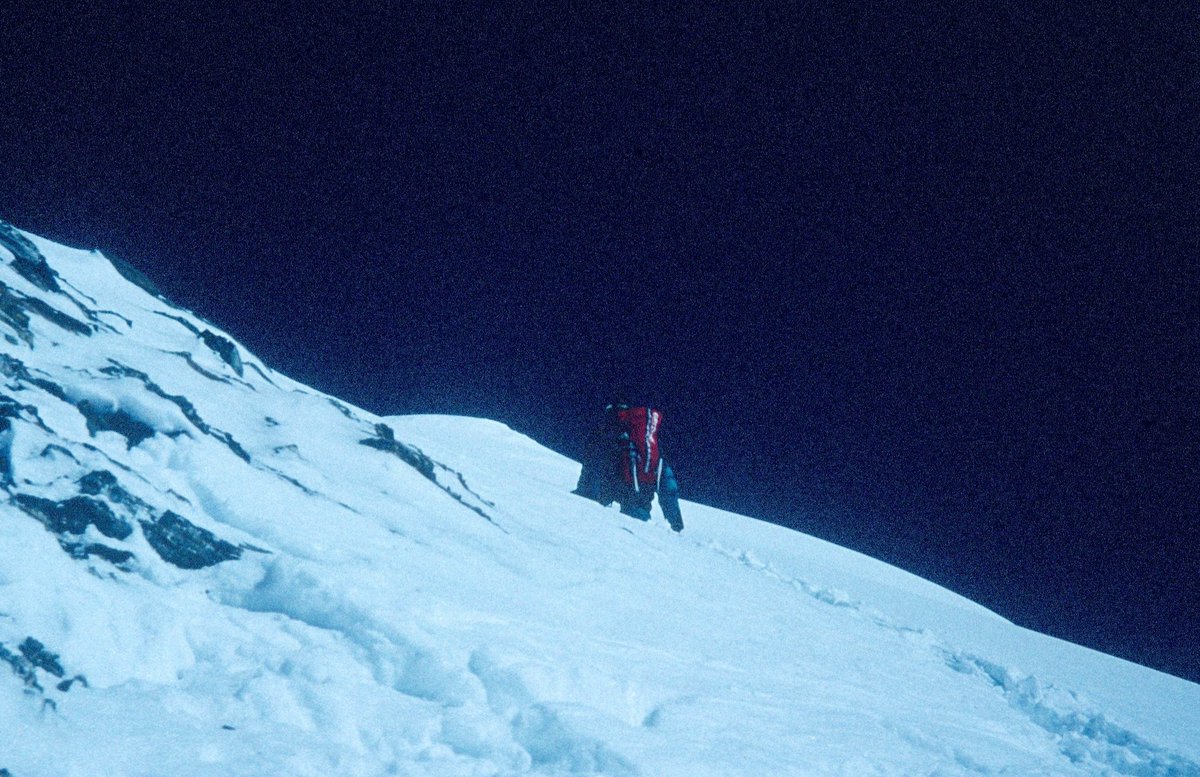 Aracel·li Segarra ❄️ tweet media