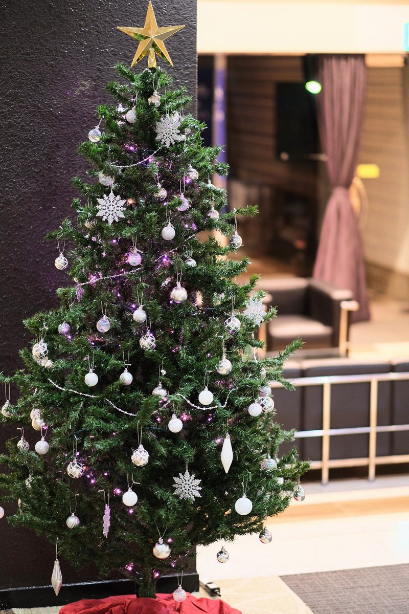 ホテルレイクサイドつくば 今年もロビーにクリスマスツリーを飾りました ご来館の際は是非クリスマス気分を味わっていただきたく思います 冷え込みますので 皆様暖かくして元気にお過ごしください ホテルレイクサイドつくば 茨城観光 温泉旅行 ホテルレイクサイドつくば 今年もロビーにクリスマスツリーを飾りました ご来館の際は是非クリスマス気分を味わっていただきたく思います 冷え込みますので 皆様暖かくして元気にお過ごしください ホテルレイクサイドつくば 茨城観光 温泉旅行