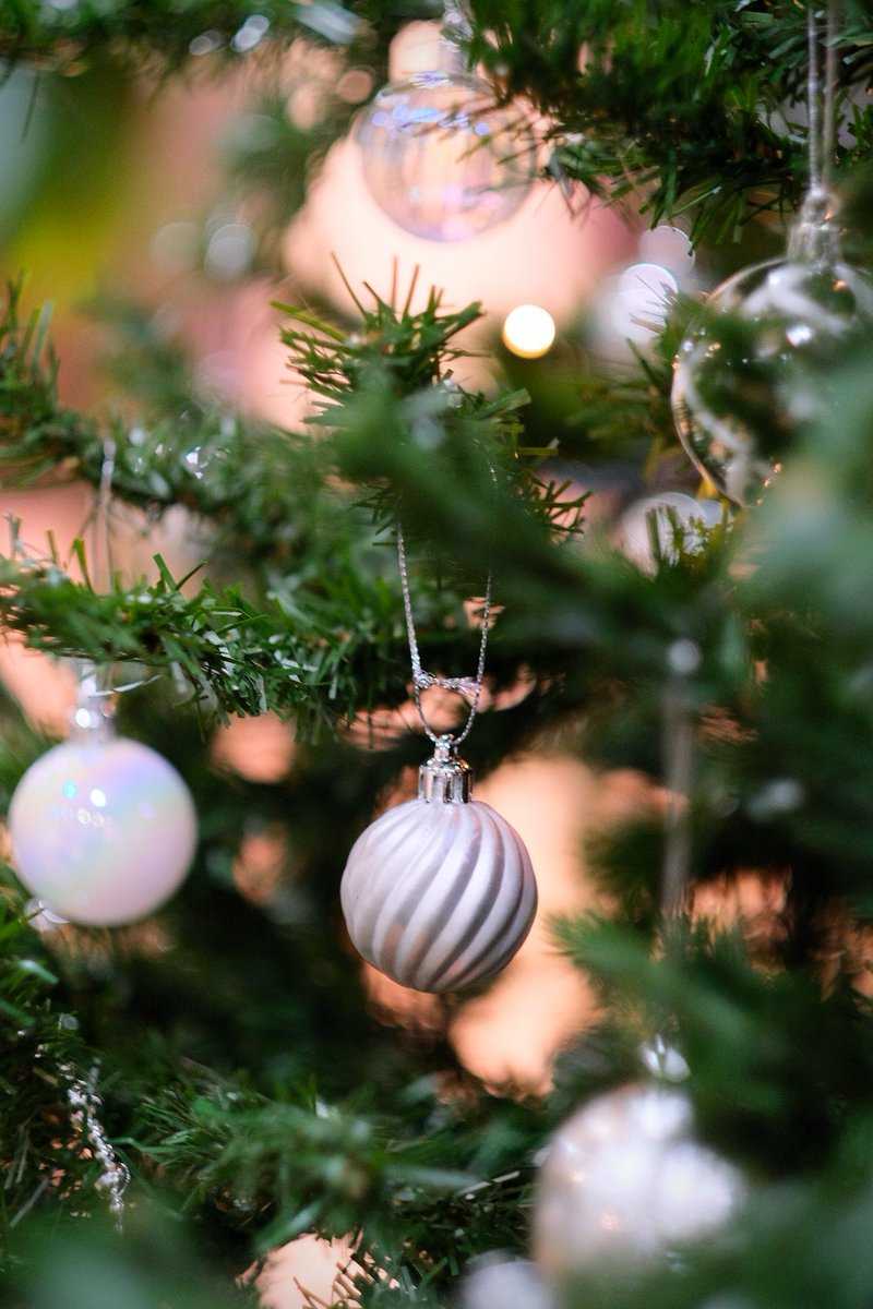 ホテルレイクサイドつくば 今年もロビーにクリスマスツリーを飾りました ご来館の際は是非クリスマス気分を味わっていただきたく思います 冷え込みますので 皆様暖かくして元気にお過ごしください ホテルレイクサイドつくば 茨城観光 温泉旅行 ホテルレイクサイドつくば 今年もロビーにクリスマスツリーを飾りました ご来館の際は是非クリスマス気分を味わっていただきたく思います 冷え込みますので 皆様暖かくして元気にお過ごしください ホテルレイクサイドつくば 茨城観光 温泉旅行