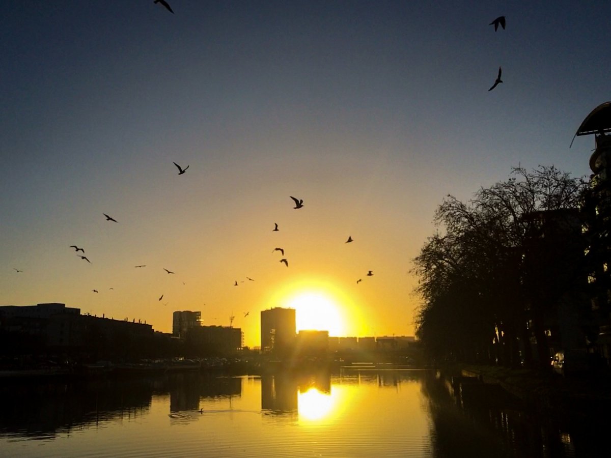 Le soleil se lève sur le canal Saint Félix 🤩 #soleil #Nantes #Photographie