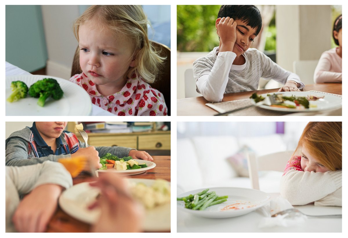 We weten allemaal dat groente goed zijn voor onze #gezondheid. Maar toch eten Nederlandse kinderen er te weinig van. Daarom werkt HAK aan een “intelligent” bord om kinderen te helpen onbewust meer groenten te eten. Want jong geleerd is oud gedaan! #missie bit.ly/2JUaulB