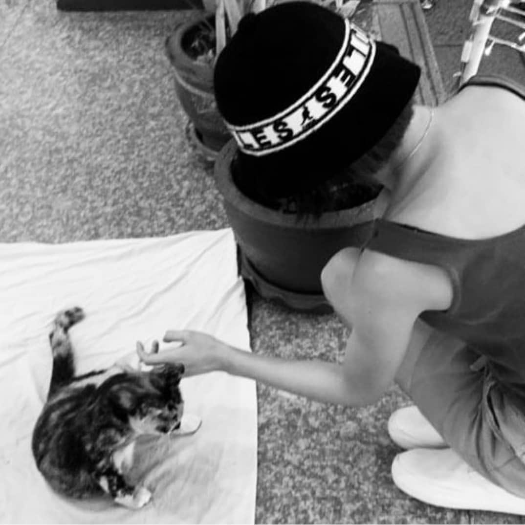 LOL then theres yeaji getting attacked by a dog 