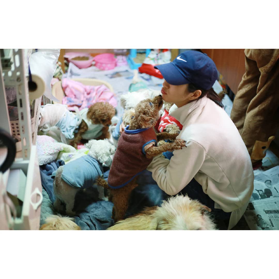 LOL then theres yeaji getting attacked by a dog 