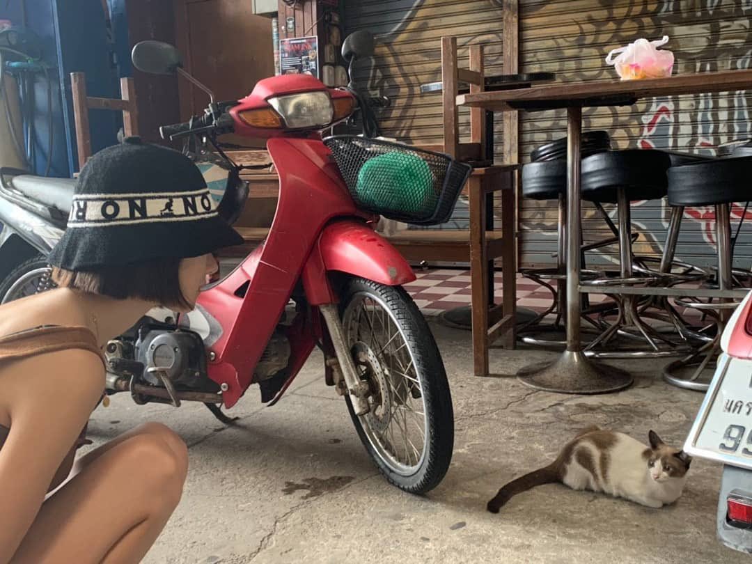 LOL then theres yeaji getting attacked by a dog 