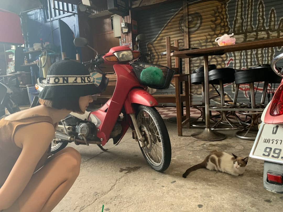 LOL then theres yeaji getting attacked by a dog 