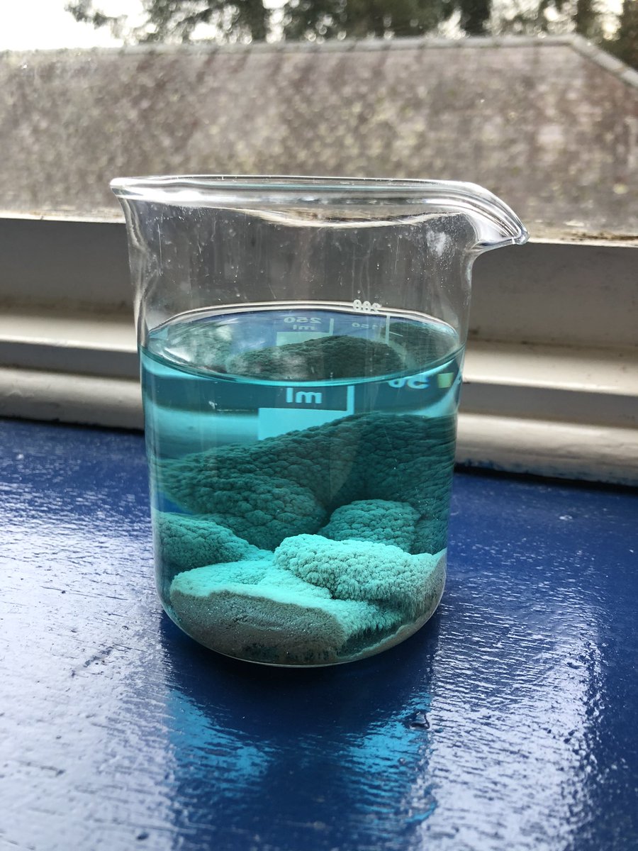 kinakinakinaT's tweet image. So I may have forgotten to remove my copper wire xmas tree from its bath of silver nitrate last night 🤦🏼‍♀️🎄#asechat #asetechs #Chemistry