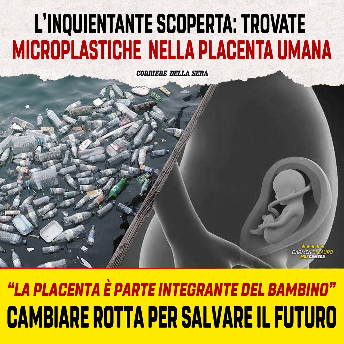L'inquietante scoperta degli scienziati: trovate microplastiche nella placenta umana. Leggi qui: facebook.com/carmendilauroc…
