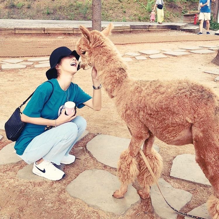 LOL then theres yeaji getting attacked by a dog 