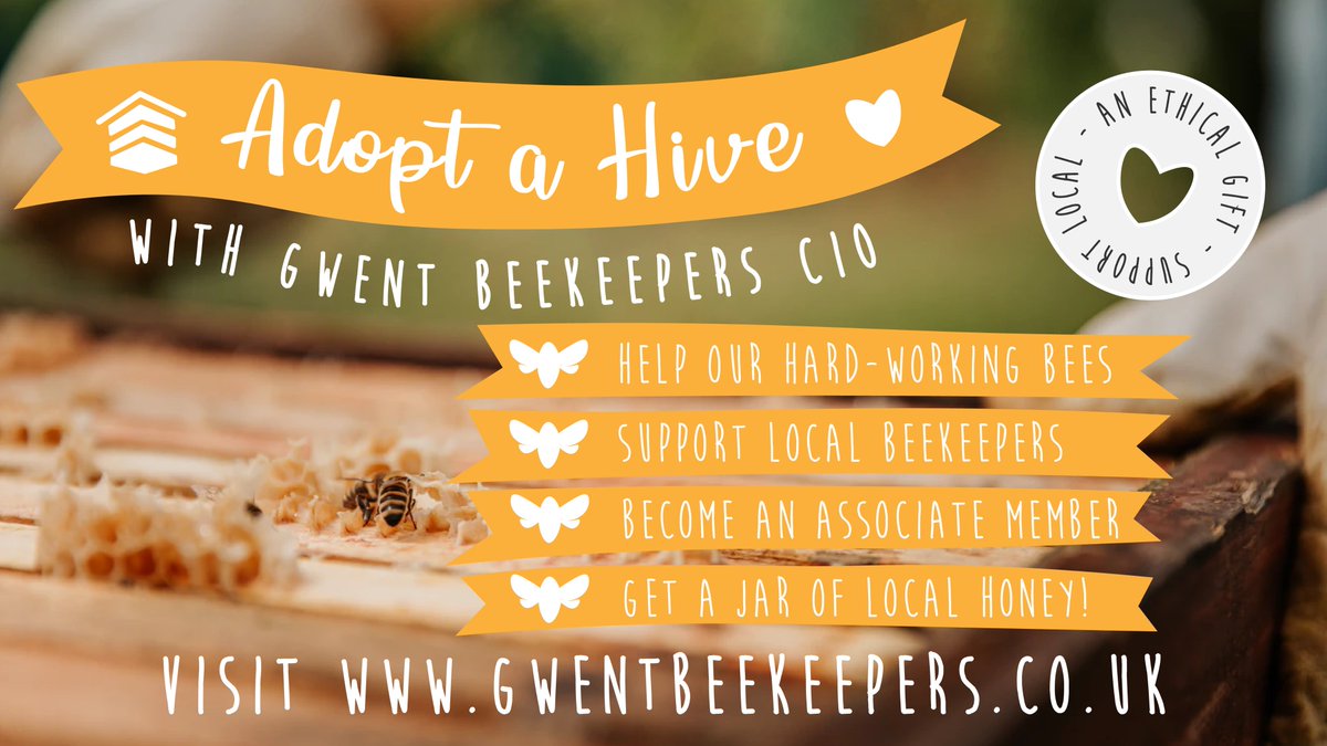 BeekeepersGwent's tweet photo. 🎁🐝 Make a real difference with our Adopt-a-Hive Scheme.
This kind donation is the perfect gift for a loved one, and helps us create a sustainable future for bees - for just £24 a year (That’s just £2 a month!) https://t.co/1ibsqnycUl #savethebees #wales #gwent #monmouthshire https://t.co/N0tCCShWkI