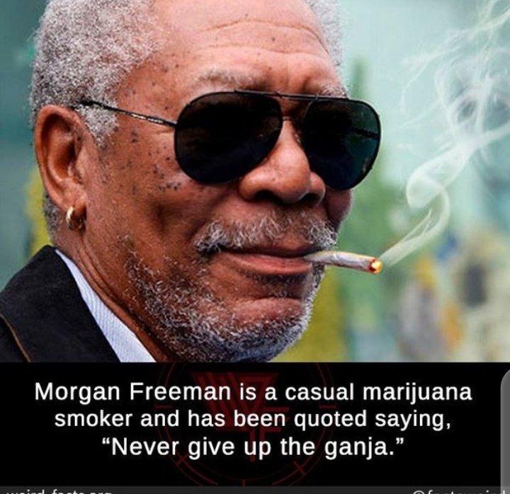 If you tap the follow button, you won't die 