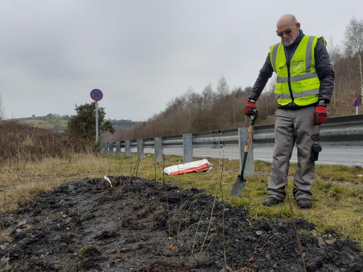 CaerphillyCBC's tweet photo. Volunteers from @GroundworkWales WeCare group have been working alongside our Countryside Rangers planting new hedgerow at Parc Coetir Bargoed to help address climate change. #TreeWeek2020
https://t.co/IDXH3IbD0h https://t.co/Gx3s5HL1CM