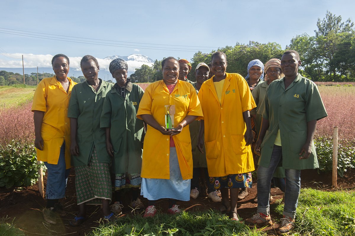 RFHTradeFair's tweet photo. Vanuit Tanzania kregen we een foto van winnaar Marginpar van de Glazen Tulp in de categorie Snijbloemen. Alle medewerkers zijn heel trots op deze prijs! #glazentulp #dagvandecooperatie #noviteiten https://t.co/24Uf8qHuDj