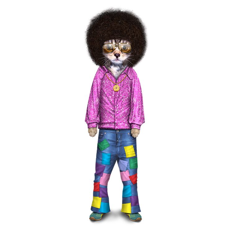 Pets Rock World tweet media