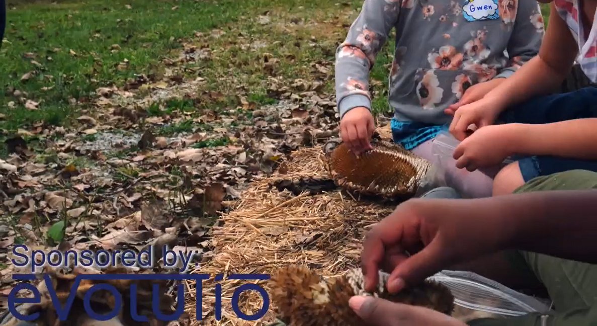 Evolutio (@evolutiops) on Twitter photo Last month Evolutio sponsored STEM Quick Wins, by <a href="/thestemconnect/">The STEM connection</a>, a non-profit STEM education organization for children. Read more about this initiative and how you can get involved with activities focused on Animal Conservation and Endangered Species. hubs.ly/H0CgFtS0 Last month Evolutio sponsored STEM Quick Wins, by <a href="/thestemconnect/">The STEM connection</a>, a non-profit STEM education organization for children. Read more about this initiative and how you can get involved with activities focused on Animal Conservation and Endangered Species. hubs.ly/H0CgFtS0