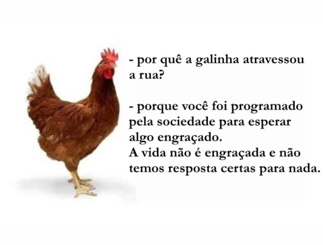 LukeScorpion07's tweet photo. @chief117_com_br Não tem outra maneira de descrever essa imagem 😔🤝 https://t.co/lRMEVHBRWa