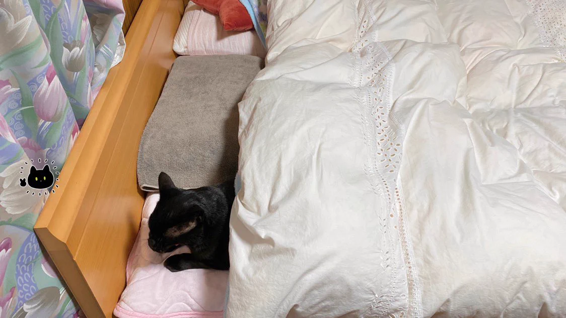 そろそろ寝ようと寝室入ったら？ベッドに「添い寝準備万端」の子がいたｗｗ