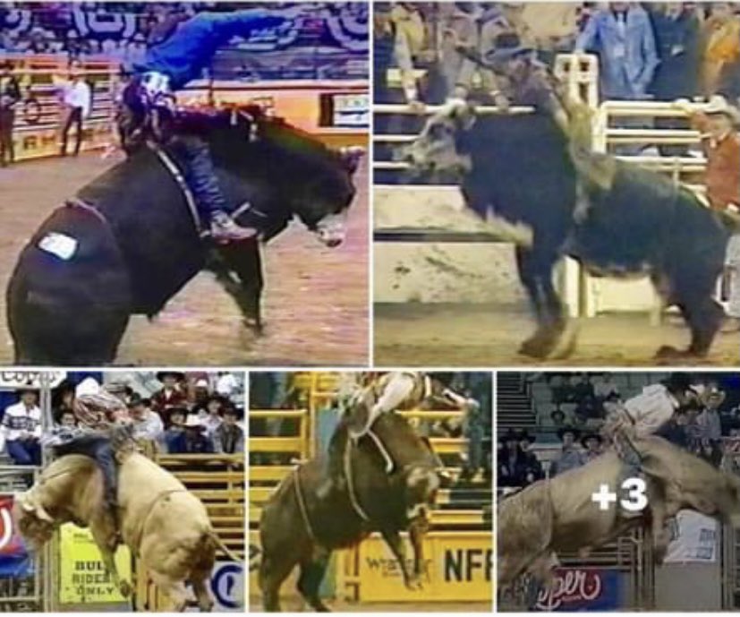 Bull_Guru1970's tweet photo. Students of my school , Sage Kimzey , Stetson Wright , Ky Hamelton and Colton Fritzlan  were all taught the Riding Mechanics of these Legends , Don Gay , Tuff Hedemen , Troy Dunn and Michael Gaffney and their their Kicking Ass at this years NFR ...Come See The Guru 😎 https://t.co/sMsBcIBdxQ