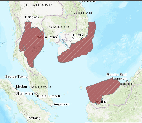 The Lost Shark is a small requiem shark from the southern South China Sea (Gulf of Thailand, Viet Nam, and Sarawak in Malaysian Borneo) in the Western Central Pacific, but it may have had a wider historic distribution.  #Lostshark