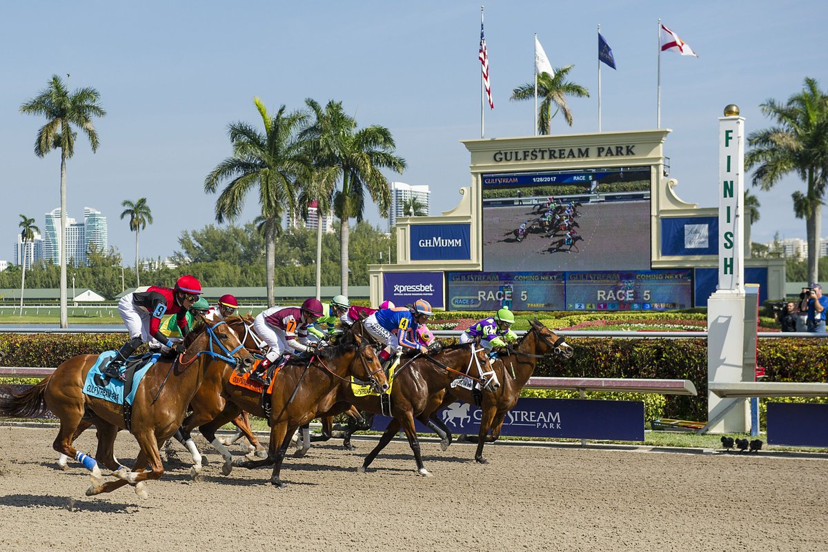 FaraonAmericano's tweet photo. #Hipismo│#GulfstreamPark #10Dic #Jueves 
1C)1-8-7
2C)1 FIJO-5-3
3C)8-7-3
4C)6-4-3
5C)1-2-9
6C)4 FIJO-2-5
7C)8-7-4
8C)1 FIJO-3-2
9C)3-11-7
10C)3-8-9

Suerte y puedes colaborar dando #RT 🔁❤️

@GulfstreamPark #ChampionshipMeet #FelizJueves https://t.co/QAZKd6ScRb