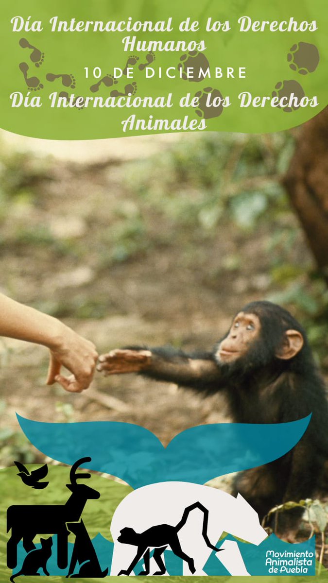 ¡Hoy es una fecha importante para todos! Declarado por <a href="/ONU_es/">Naciones Unidas</a> (1948), se conmemora el #DiaInternacionalDerechosHumanos al morir unos 60M de seres humanos como consecuencia de la #IIGM una de las mayores cifras de víctimas humanas que una guerra haya producido en la historia.