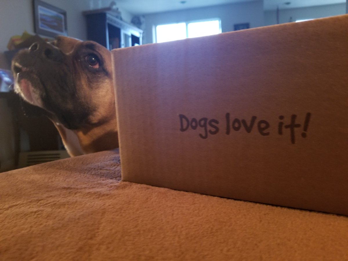 FourLeggerBox's tweet photo. ORDER TODAY! Get your December #SubscriptionBoxForDogs at >> https://t.co/WBoAewXHQG << #DogsLoveIt #CanadianDogs https://t.co/sJVr3hKCtO
