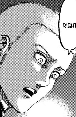 connie springer - dunkirk