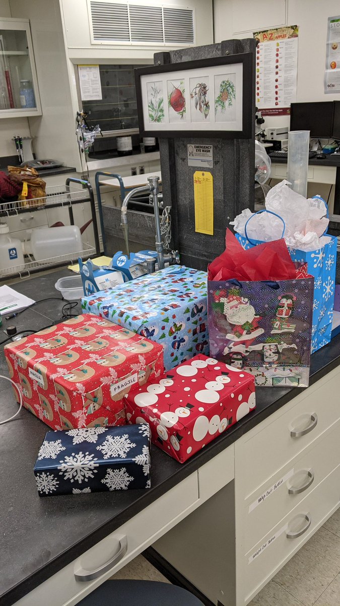 Anna Wallis tweet media