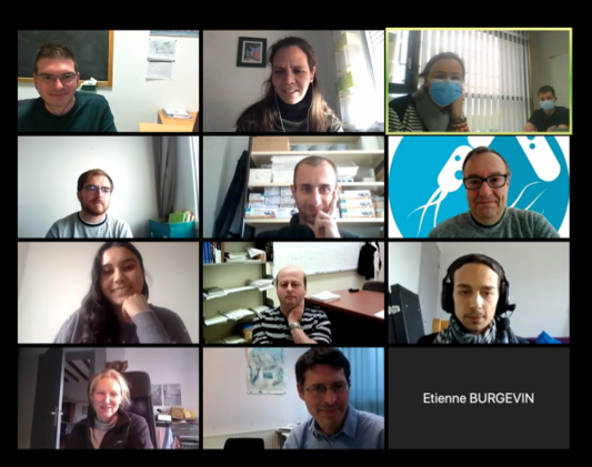 ortegaretuerta's tweet photo. Yet another zoom group pic! Thank you all for being at the presentation of the Micropump project, that will combine the expertise of chemists, biologists and oceanographers to help understand the linkage between prokaryotes and DOM in the ocean #ANRJCJC @LOMIC_UMR7621 @INSU_CNRS https://t.co/FpeaHWdzdb