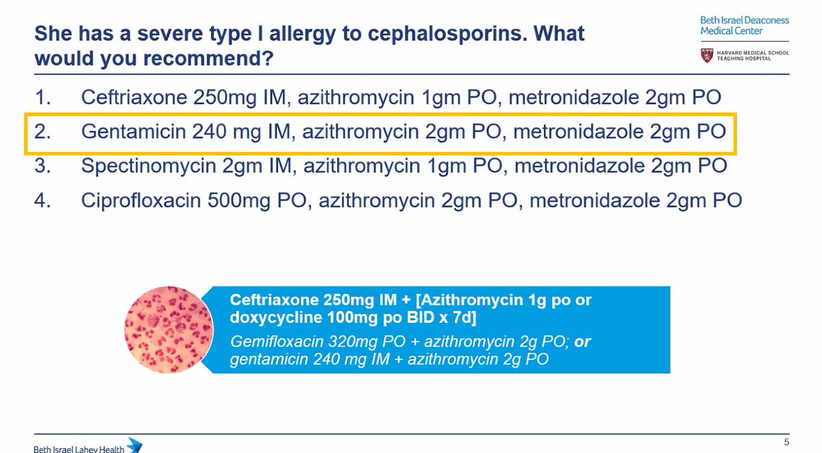 3/ Answer was option 2 featuring gentamicinCheck out the options belowWon't cover HBV PEP recs for this tweetorial today!