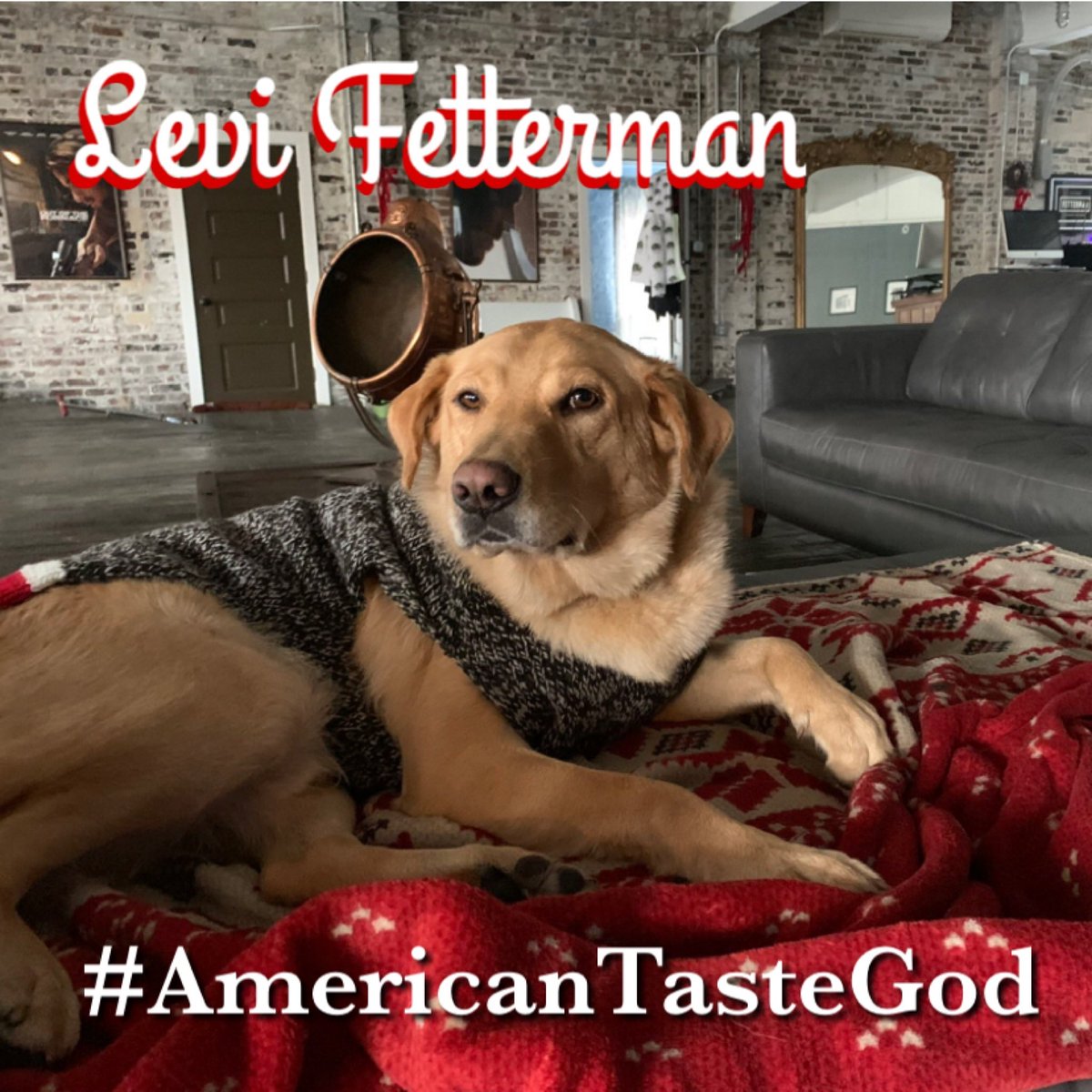 LeviForOffice's tweet photo. @ossoff hiiiiiii mr soon-senator jon .@ossoff hiiiii
i has paws 🐾
#VoteYourPawsoff
ilu 💙levi
second dog. pennsylvania. #AmericanTasteGod https://t.co/WRhIbS8YqJ