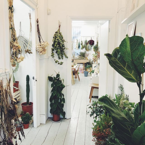 Leeds folk we are back to normal hours again ... Woop woop! We are here 10.30-6.30 Thursday and Friday

#botanicalshop #theplantroom #leeds #independentleeds #plantsmakepeoplehappy #driedflowers