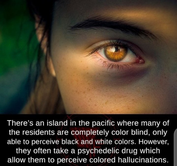 A THREAD OF SOME WEIRD FACTS YOU SHOULD KNOW.RT FOR OTHERS TO SEE