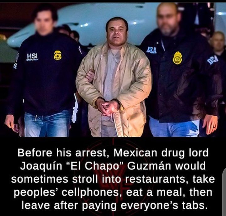 If you tap the follow button, you won't die 