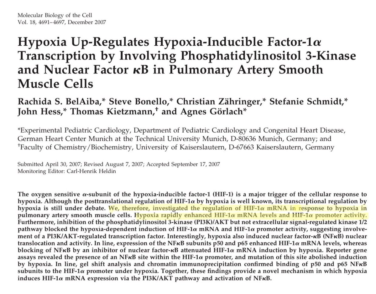 2/3 I always give this example: if you are exposed to severe hypoxia for 2h, the mRNA expression of HIF-1α will  significantly but I guarantee you that you won’t  angiogenesis or erythropoiesis...This study for example shows that even 30min of severe hypoxia  HIF-1α