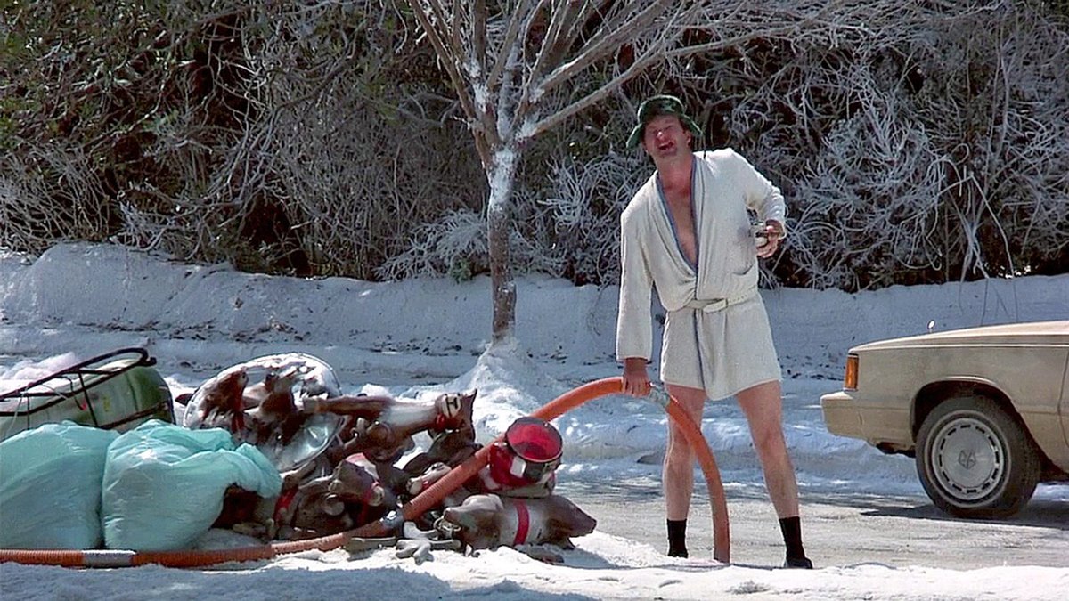 NEXT UP: NATIONAL LAMPOON'S CHRISTMAS VACATION(1989) dir. 