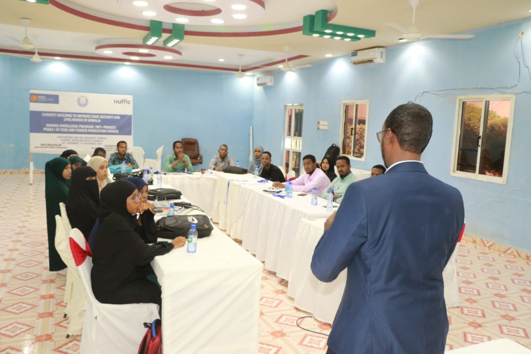 ahmedsaid_moh's tweet image. We officially closed two weeks training on animal feed and fodder production in Garowe, Somalia. The programme is an #OrangeKnowledge program funded by @DutchMFA through @NufficGD. @CursusDier and @RSUsomalia organized the event as training provider and lead partner respectively.