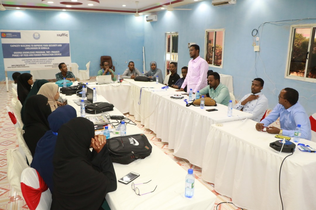 ahmedsaid_moh's tweet image. We officially closed two weeks training on animal feed and fodder production in Garowe, Somalia. The programme is an #OrangeKnowledge program funded by @DutchMFA through @NufficGD. @CursusDier and @RSUsomalia organized the event as training provider and lead partner respectively.