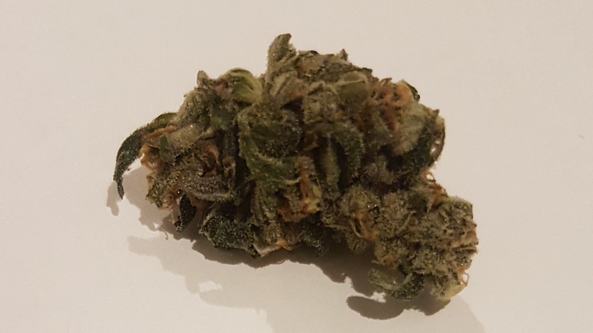 cannabistest1's tweet image. Our goal is to share cannabinoids content in hemp and cannabis flowers, concentrates, and edibles in a transparent way. 
All reported values are measured by us, using our HPLC

#hplc #thctesting #cbdtesting #CannabisCommunity #CannabisNews #cannabisculture #cannabisLegal #flower